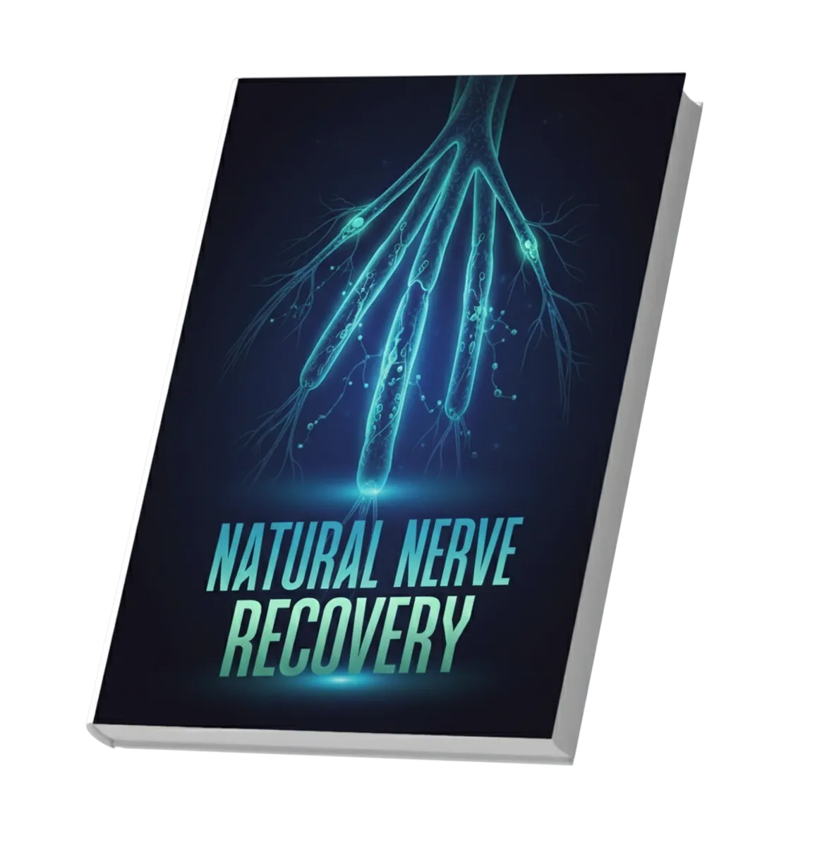 Natural nerve recovery bonus
